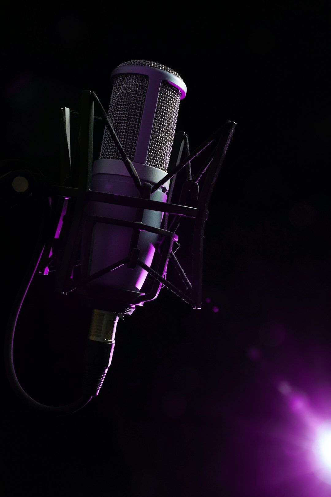 professional microphone in studio